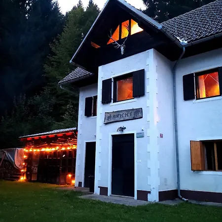 Apartment Ski Cottage